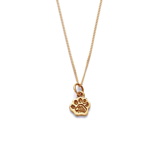 Licensed To Charm Paddington Mini Paw Necklace in 18ct Gold Vermeil