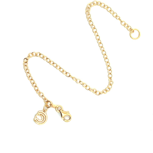 18ct Gold Vermeil Fine Trace Chain Bracelet with Licensed To Charm tag, perfect for adding charms or wearing alone, presented in a signature gift box.