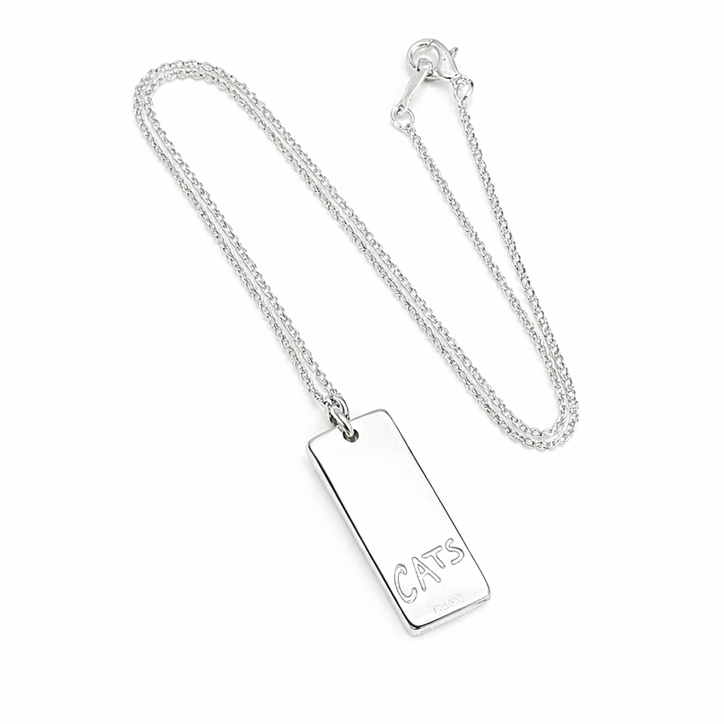 Silver necklace with a rectangular pendant engraved with 'CATS' on a white background