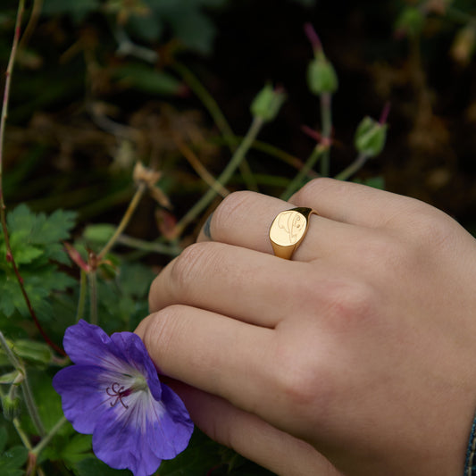 Paddington gold vermeil signet ring worn on hand for size reference.