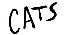 Official Cats logo on Licensed To Charm Cats jewellery homepage banner