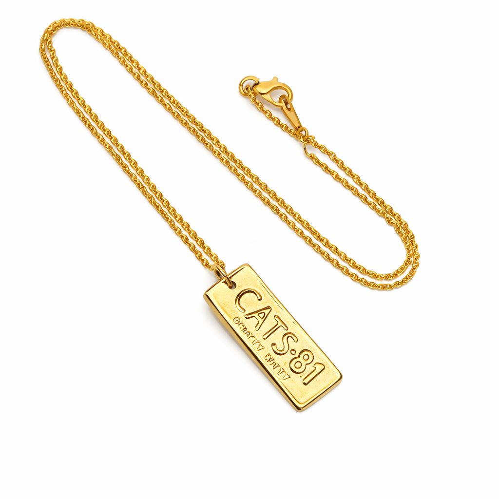 Licensed To Charm Cats number plate necklace in gold plate front view