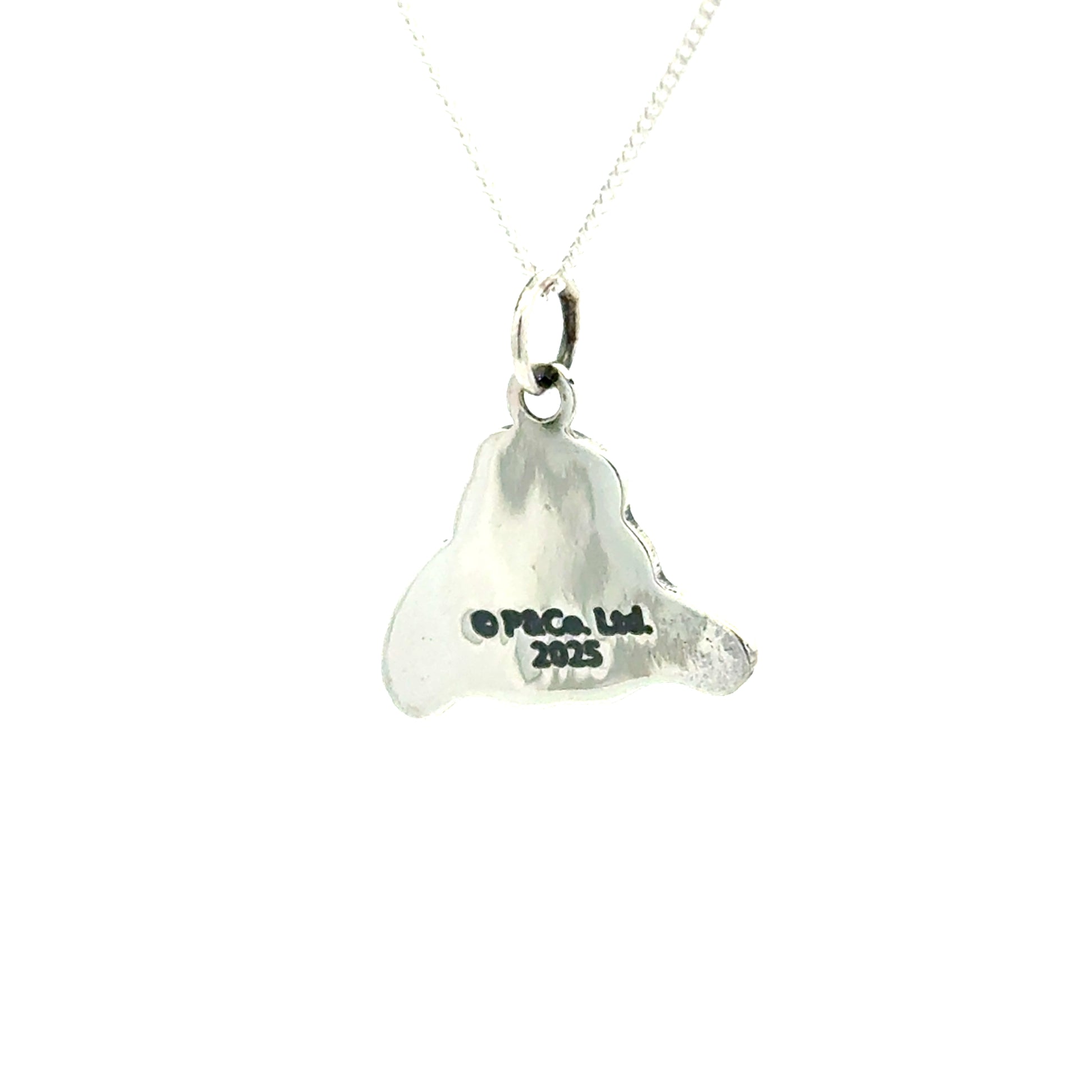 Licensed to charm - Silver Paddington  pendant on a chain with 'P&Co. Ltd' engraving on a white background