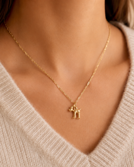 Gromit Necklace (18ct Gold Vermeil)